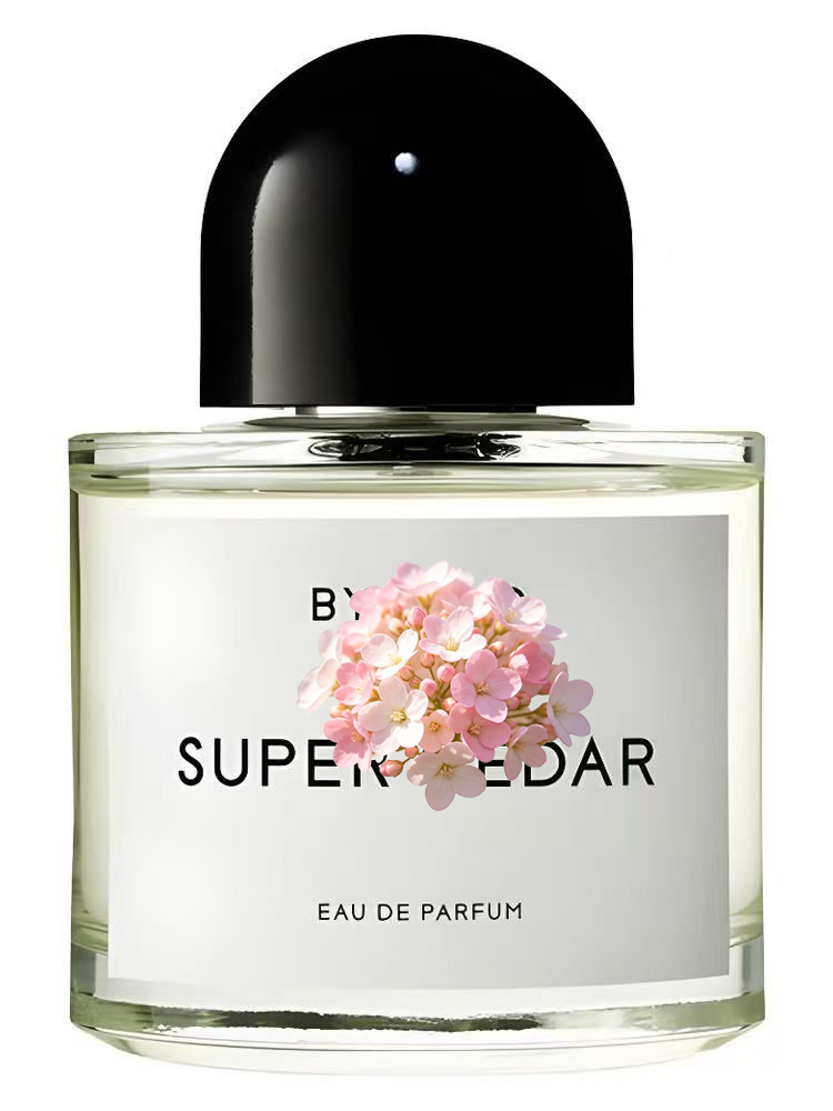 Parfum Unisex Eau de Parfum 10 - Perfume Fragrance Dupe ulasan dan harga