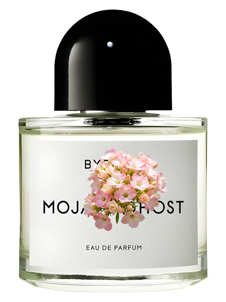 Parfum Unisex Eau de Parfum 10 - Perfume Fragrance Dupe ulasan dan harga